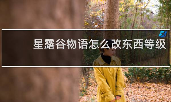 星露谷物语怎么改东西等级