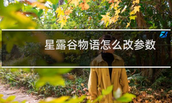 星露谷物语怎么改参数