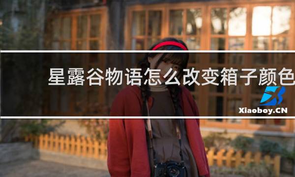 星露谷物语怎么改变箱子颜色