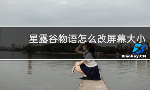 星露谷物语怎么改屏幕大小