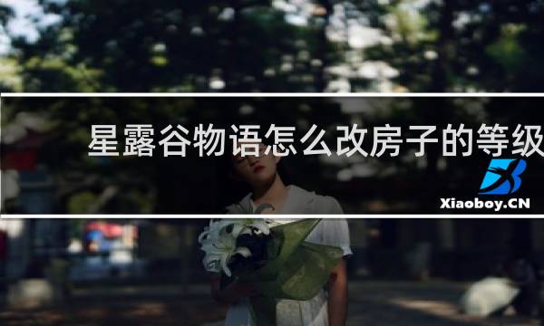 星露谷物语怎么改房子的等级
