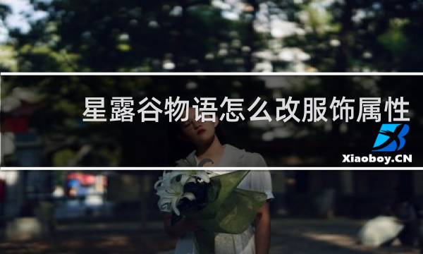 星露谷物语怎么改服饰属性
