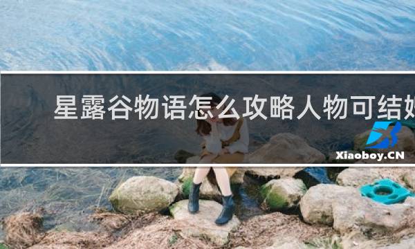 星露谷物语怎么攻略人物可结婚