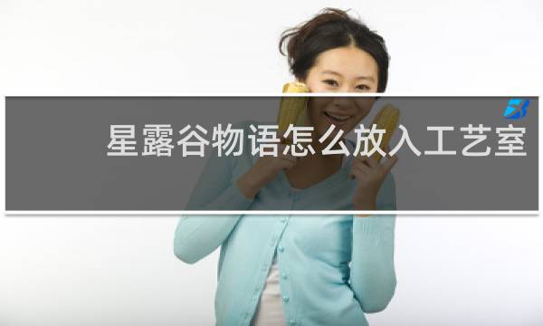 星露谷物语怎么放入工艺室