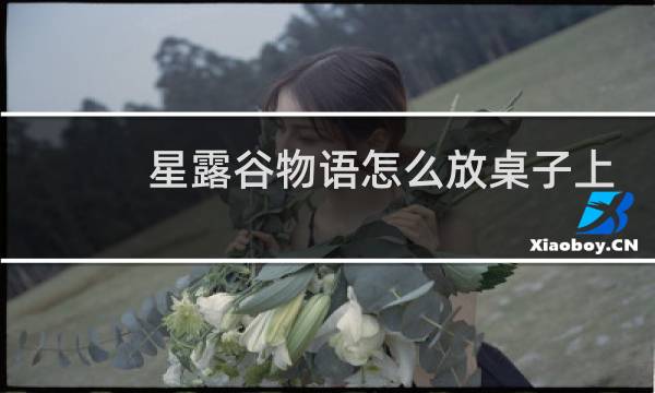 星露谷物语怎么放桌子上