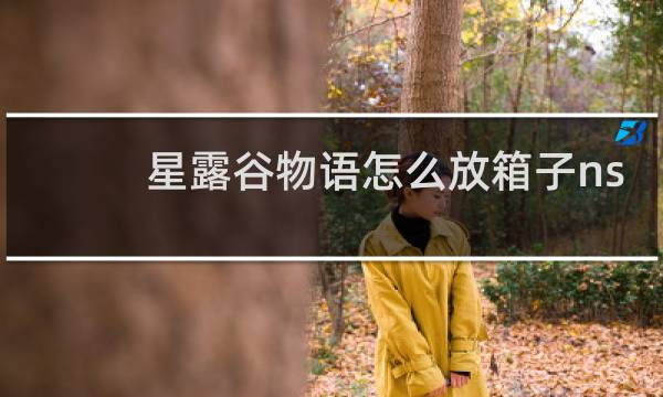 星露谷物语怎么放箱子ns