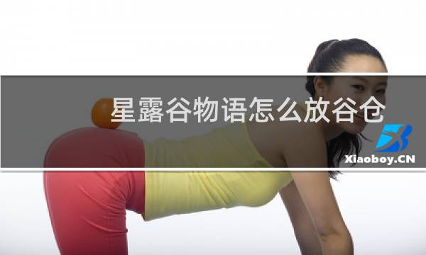 星露谷物语怎么放谷仓