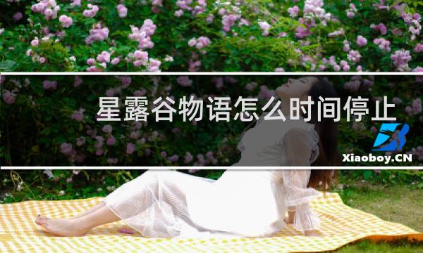 星露谷物语怎么时间停止