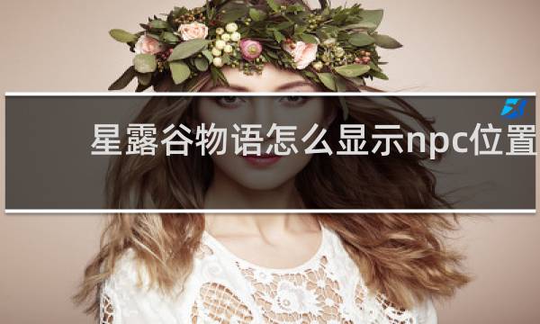星露谷物语怎么显示npc位置