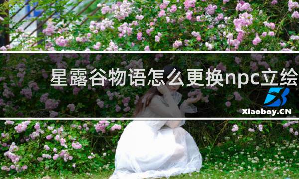 星露谷物语怎么更换npc立绘