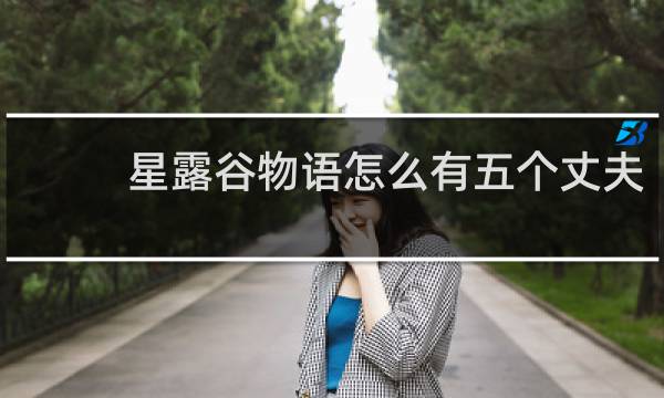 星露谷物语怎么有五个丈夫