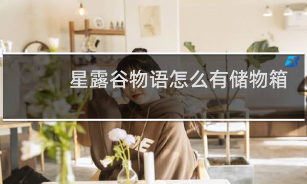 星露谷物语怎么有储物箱