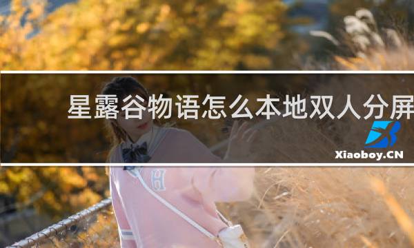 星露谷物语怎么本地双人分屏