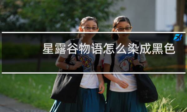 星露谷物语怎么染成黑色