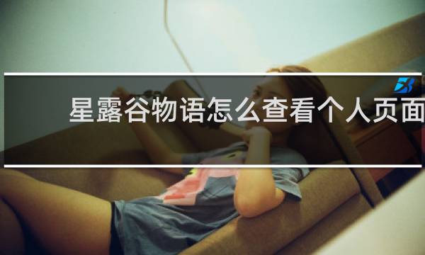 星露谷物语怎么查看个人页面