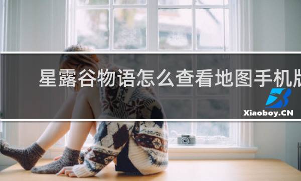 星露谷物语怎么查看地图手机版