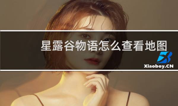 星露谷物语怎么查看地图