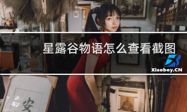 星露谷物语怎么查看截图