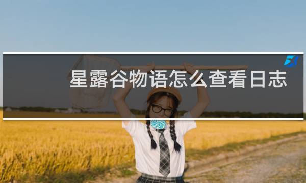星露谷物语怎么查看日志