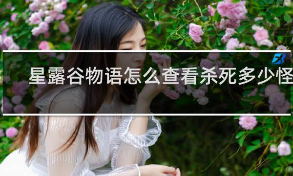 星露谷物语怎么查看杀死多少怪物