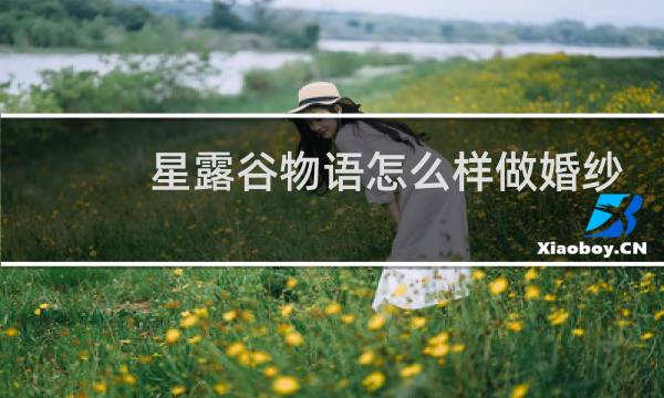 星露谷物语怎么样做婚纱