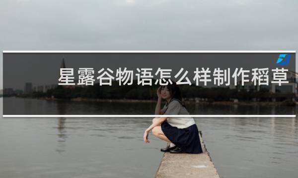 星露谷物语怎么样制作稻草