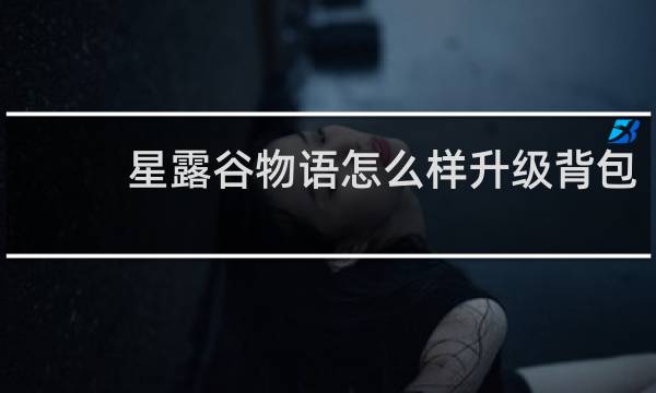 星露谷物语怎么样升级背包