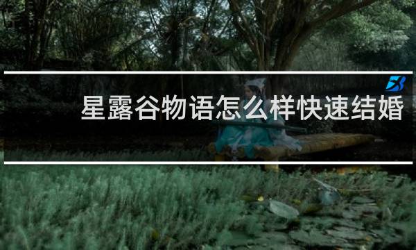 星露谷物语怎么样快速结婚