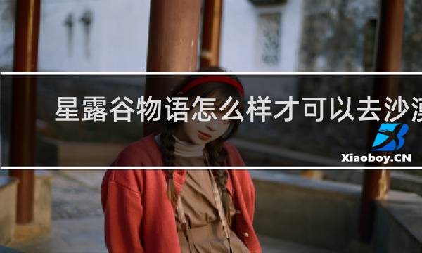 星露谷物语怎么样才可以去沙漠