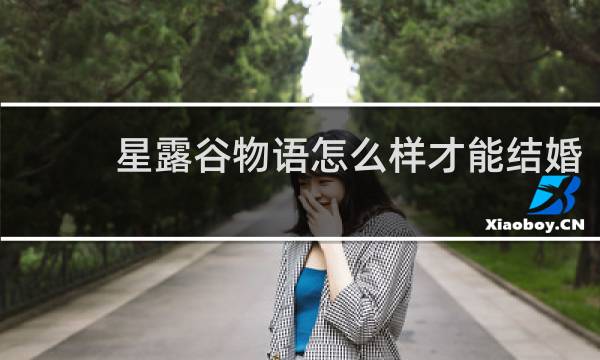 星露谷物语怎么样才能结婚