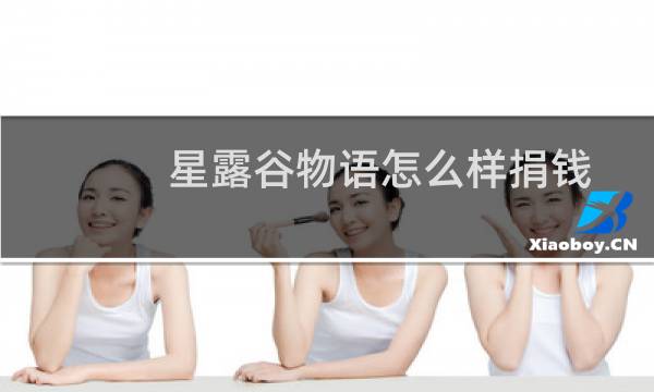 星露谷物语怎么样捐钱