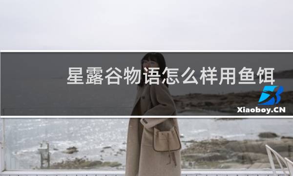 星露谷物语怎么样用鱼饵
