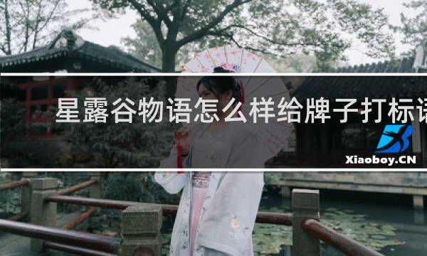 星露谷物语怎么样给牌子打标语