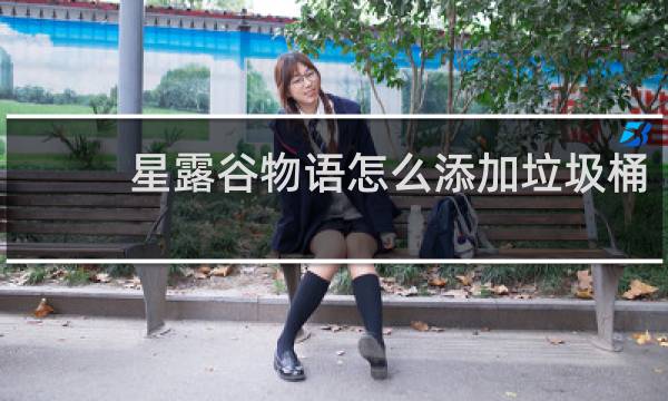 星露谷物语怎么添加垃圾桶