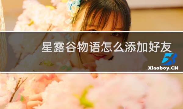 星露谷物语怎么添加好友