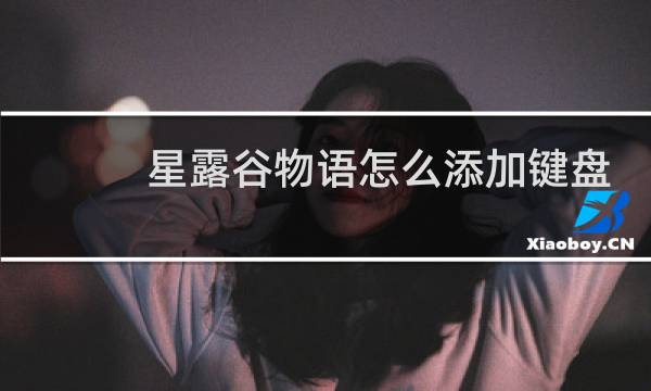 星露谷物语怎么添加键盘