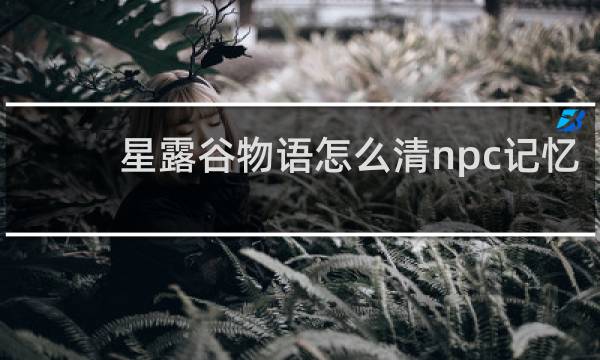 星露谷物语怎么清npc记忆