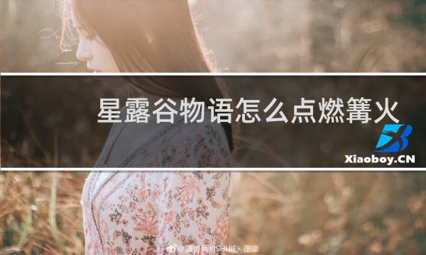 星露谷物语怎么点燃篝火
