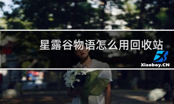 星露谷物语怎么用回收站