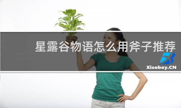 星露谷物语怎么用斧子推荐