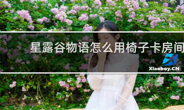 星露谷物语怎么用椅子卡房间