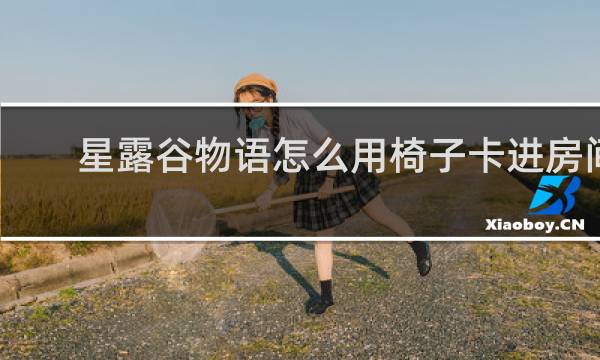 星露谷物语怎么用椅子卡进房间