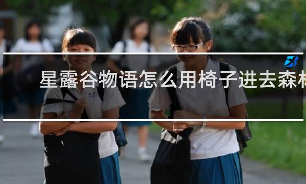 星露谷物语怎么用椅子进去森林