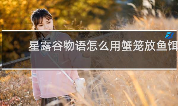 星露谷物语怎么用蟹笼放鱼饵