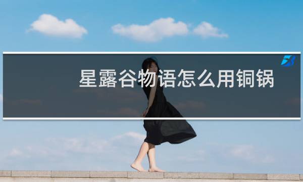 星露谷物语怎么用铜锅