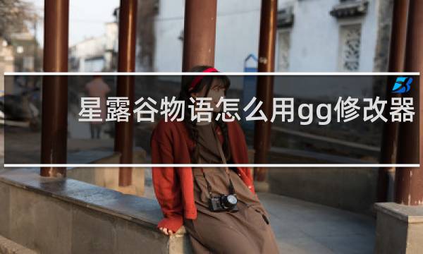 星露谷物语怎么用gg修改器