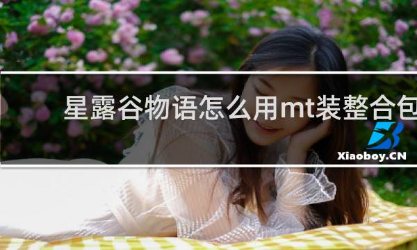 星露谷物语怎么用mt装整合包
