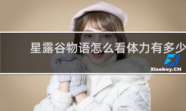 星露谷物语怎么看体力有多少