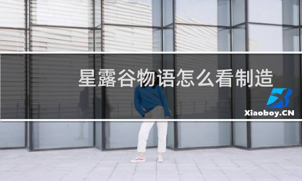 星露谷物语怎么看制造