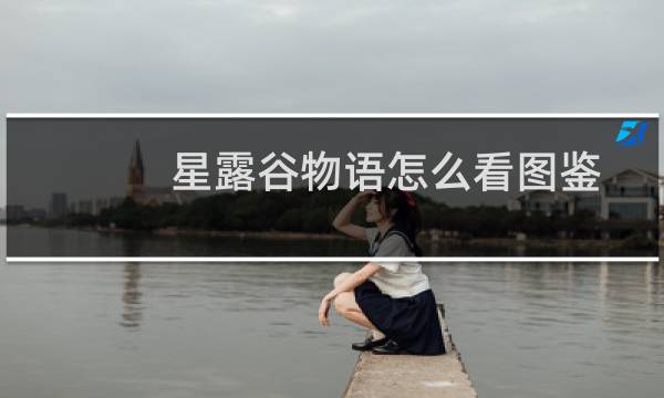 星露谷物语怎么看图鉴